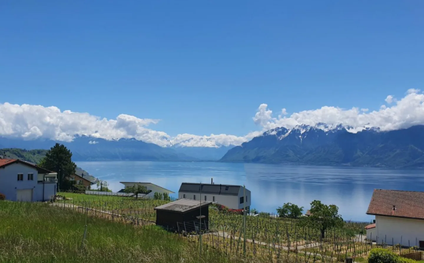 Attic 4.5 rooms - Photo 1 of 12