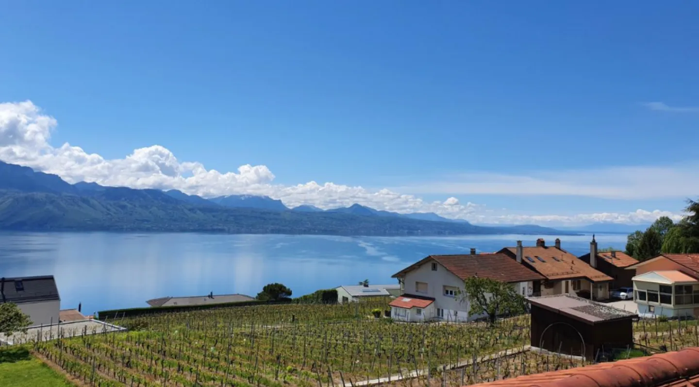 Attic 4.5 rooms - Photo 2 of 12