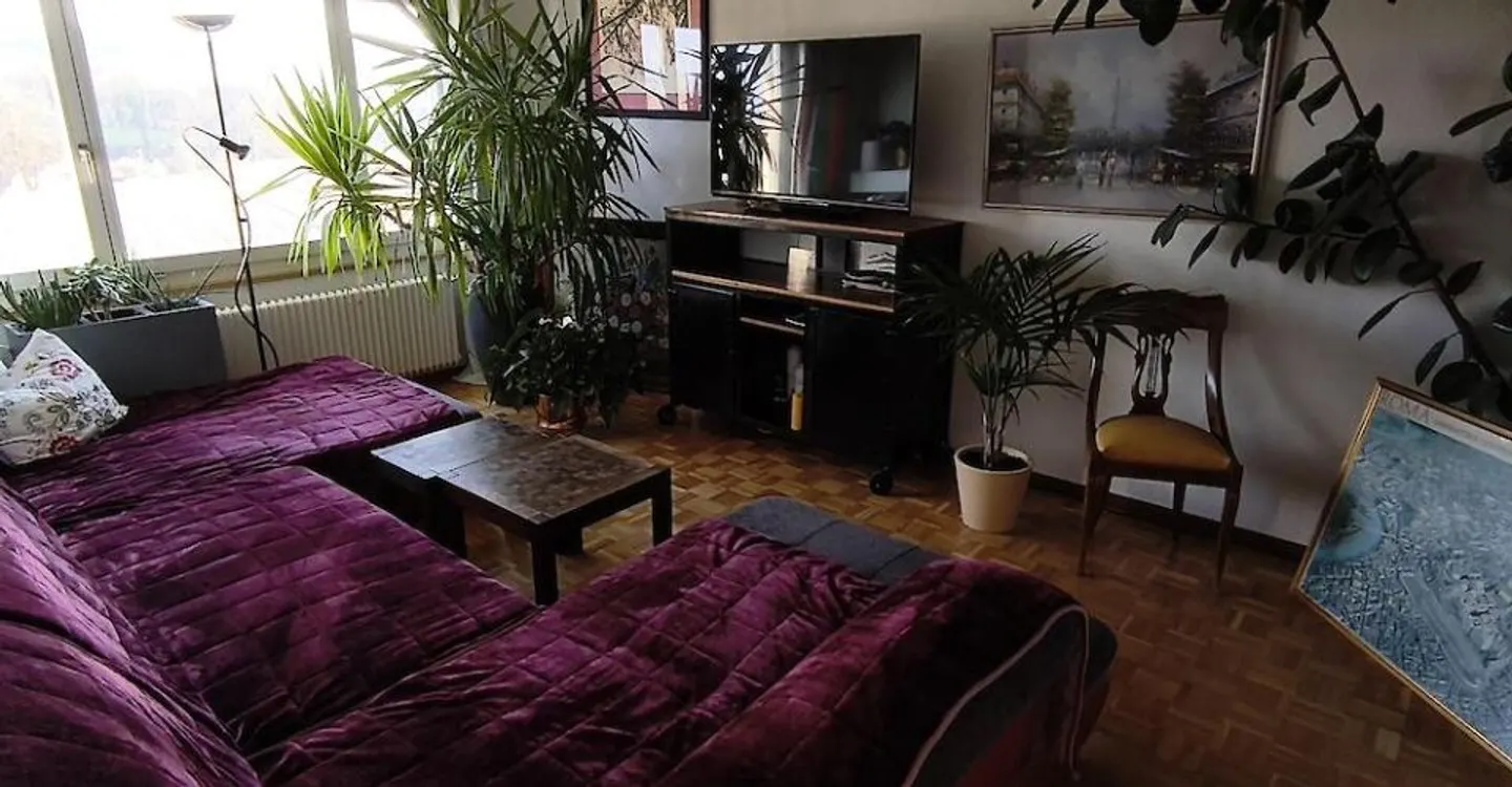 Appartamento 3.5 stanze - Foto 6 di 6
