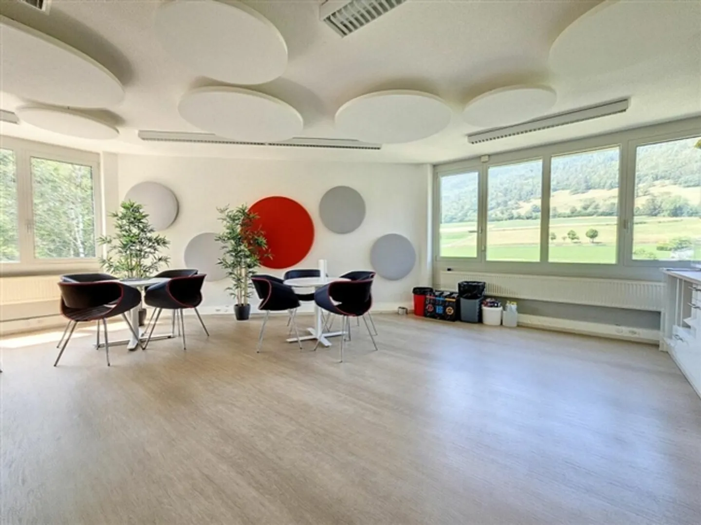 «Ufficio/Amministrazione 1'732 m² a Sonceboz-Sombeval» - Foto 2 di 20