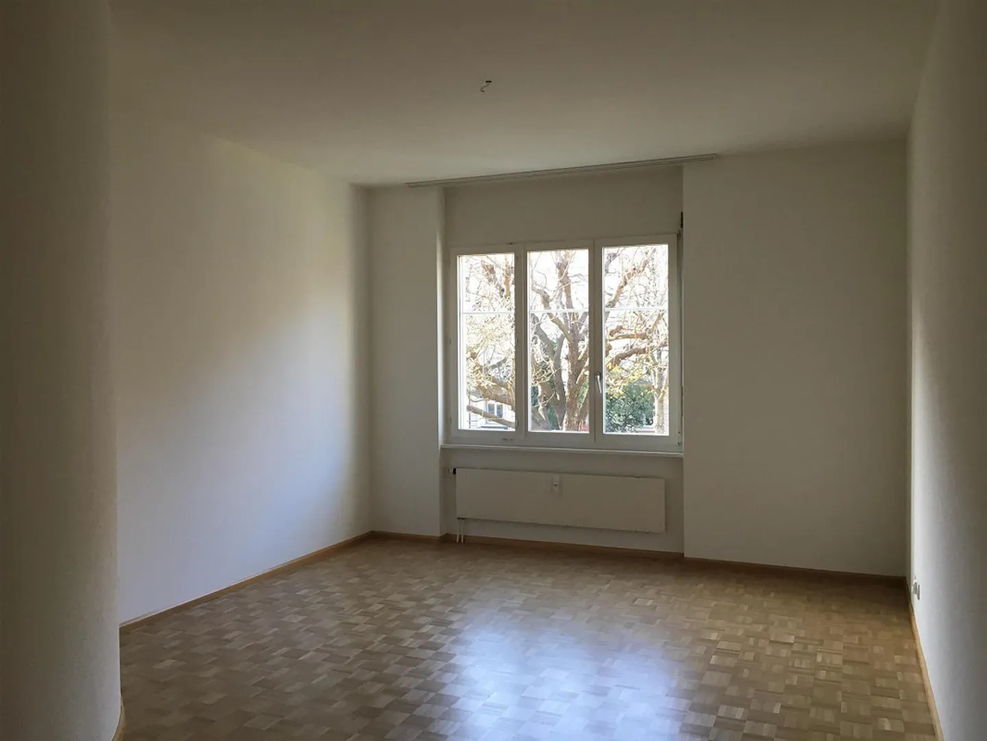 Sur la belle et calme Delsbergerallee - Photo 3 sur 8