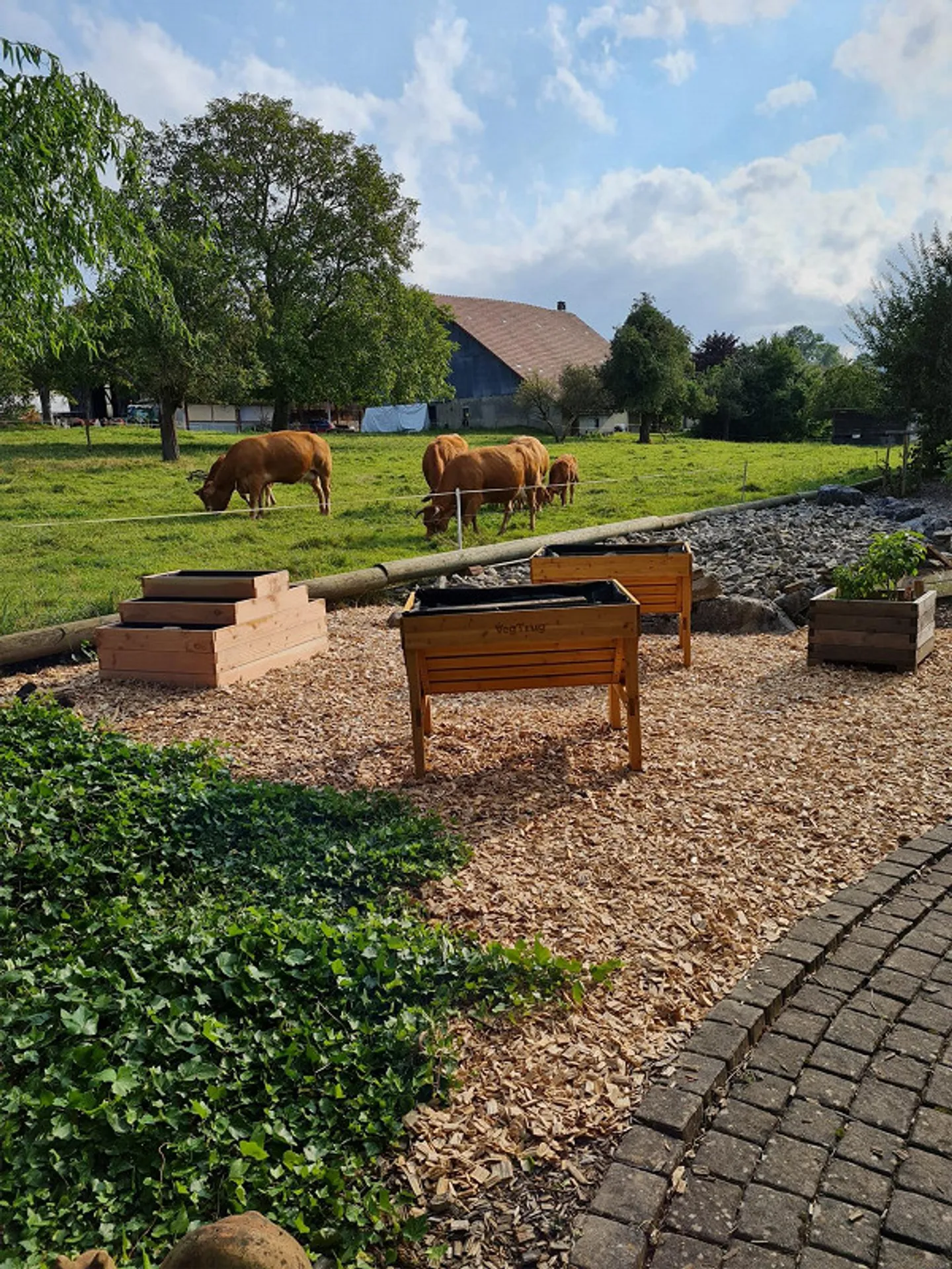 Individual villa with swimming pool - calm and green environment - Photo 12 of 13