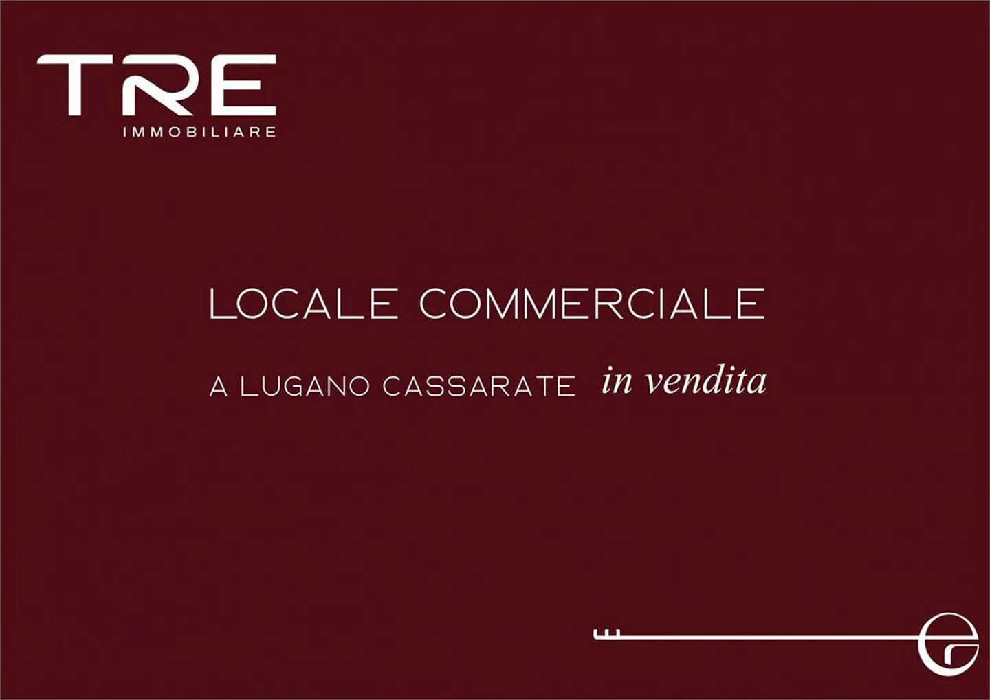 Commercial space in Lugano - CASSARATE - Photo 12 of 13