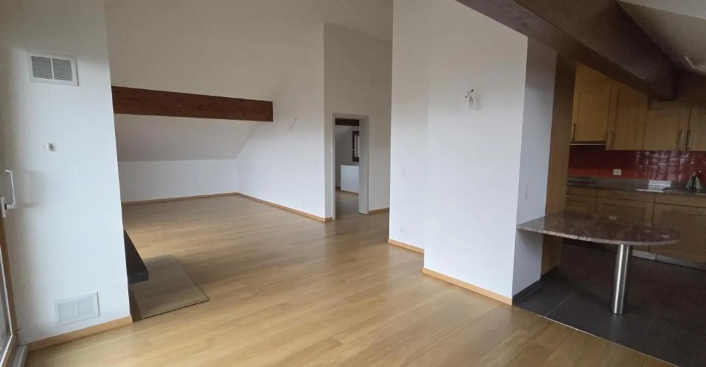 Bernex, New price, Superb penthouse duplex - Photo 4 of 17