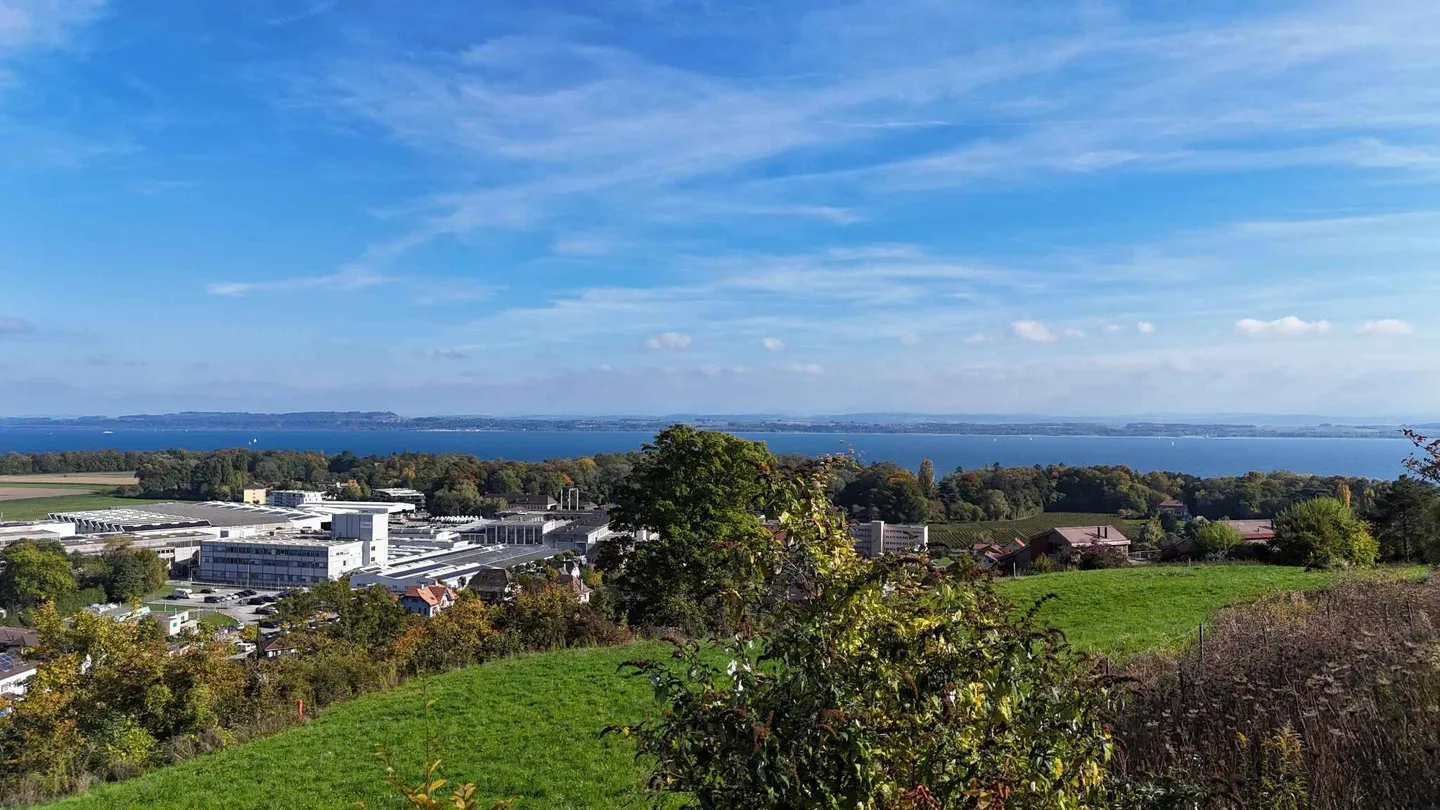 6.5-room detached house with adjoining building land - Photo 10 of 11