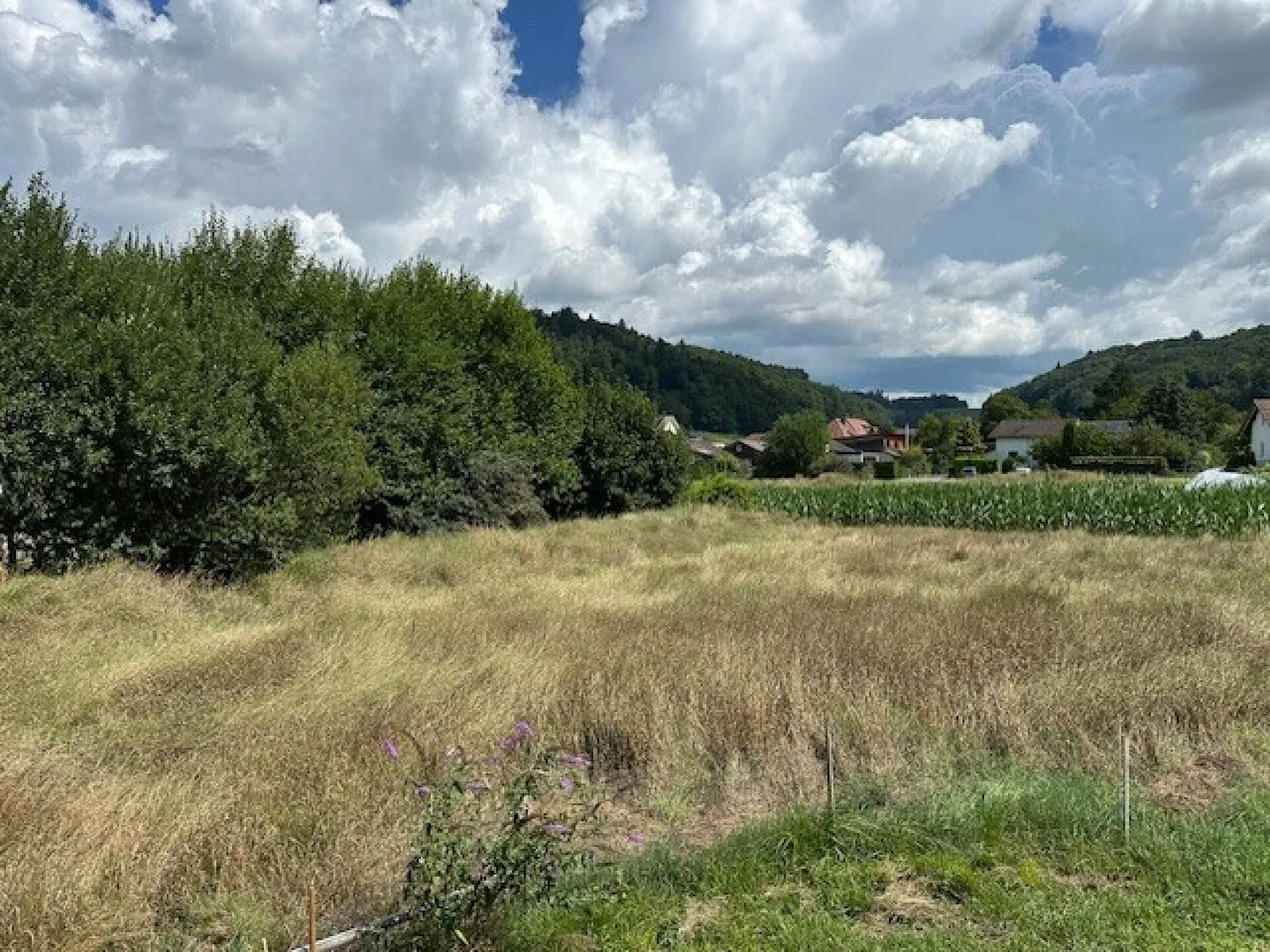 Pacchetto di terreni attraenti per investitori e sviluppatori - Foto 1 di 5