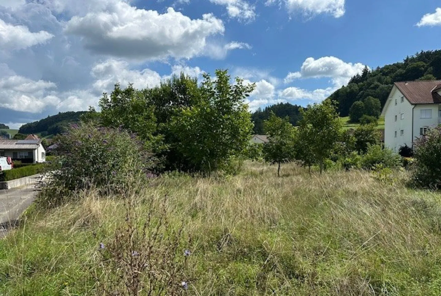 Pacchetto di terreni attraenti per investitori e sviluppatori - Foto 4 di 5