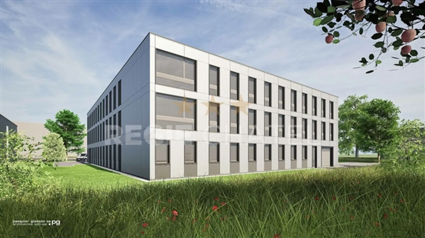 «LETZTE 2 OBERFLÄCHEN 
KOMMERZIELL» - Foto 2 von 2