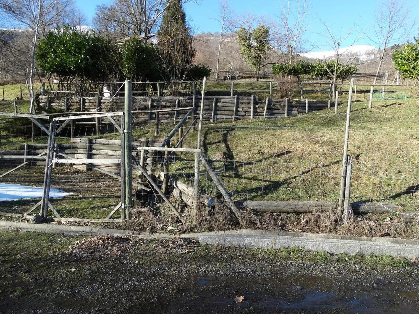 Pâturage pour chevaux - Photo 3 sur 6