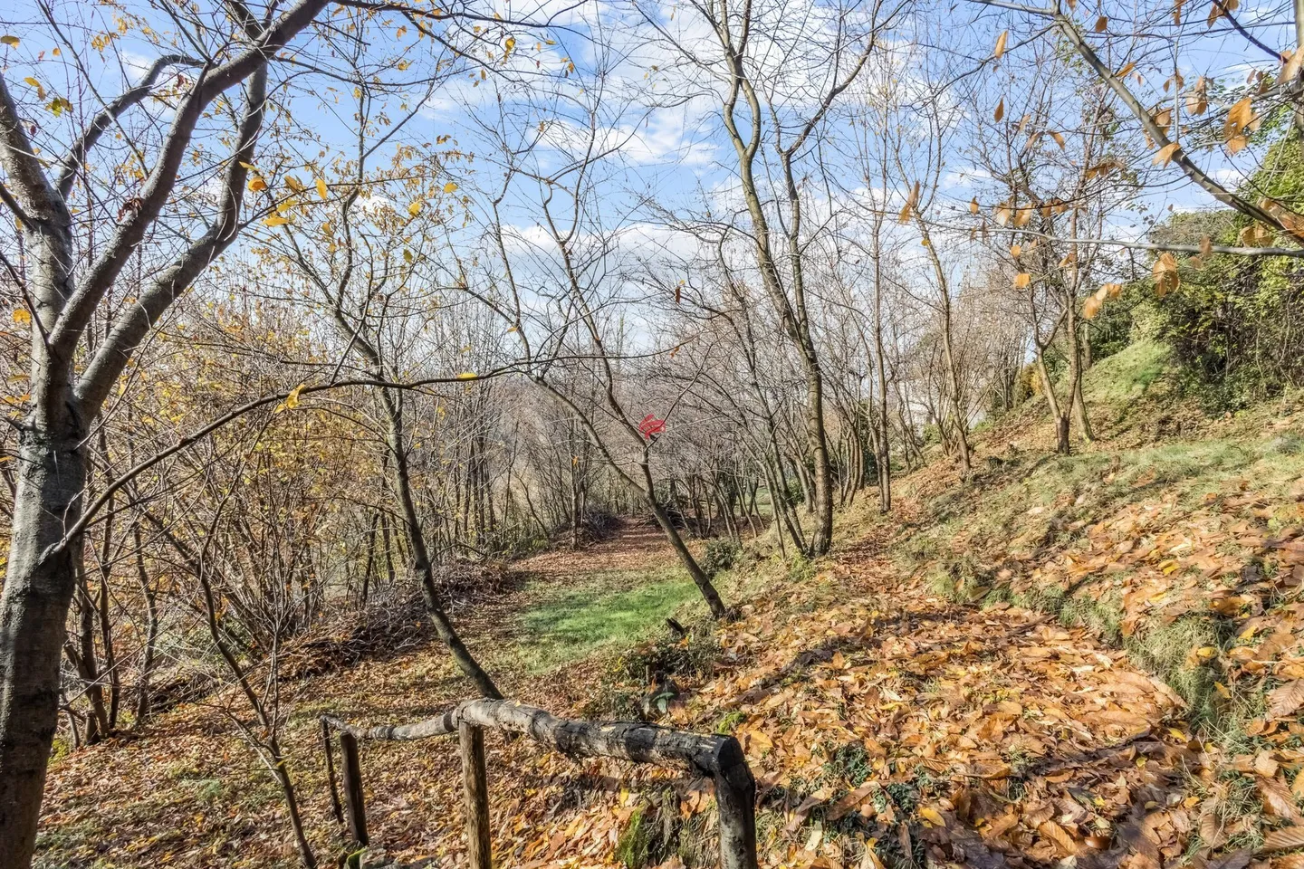 Building Land - Photo 3 of 12