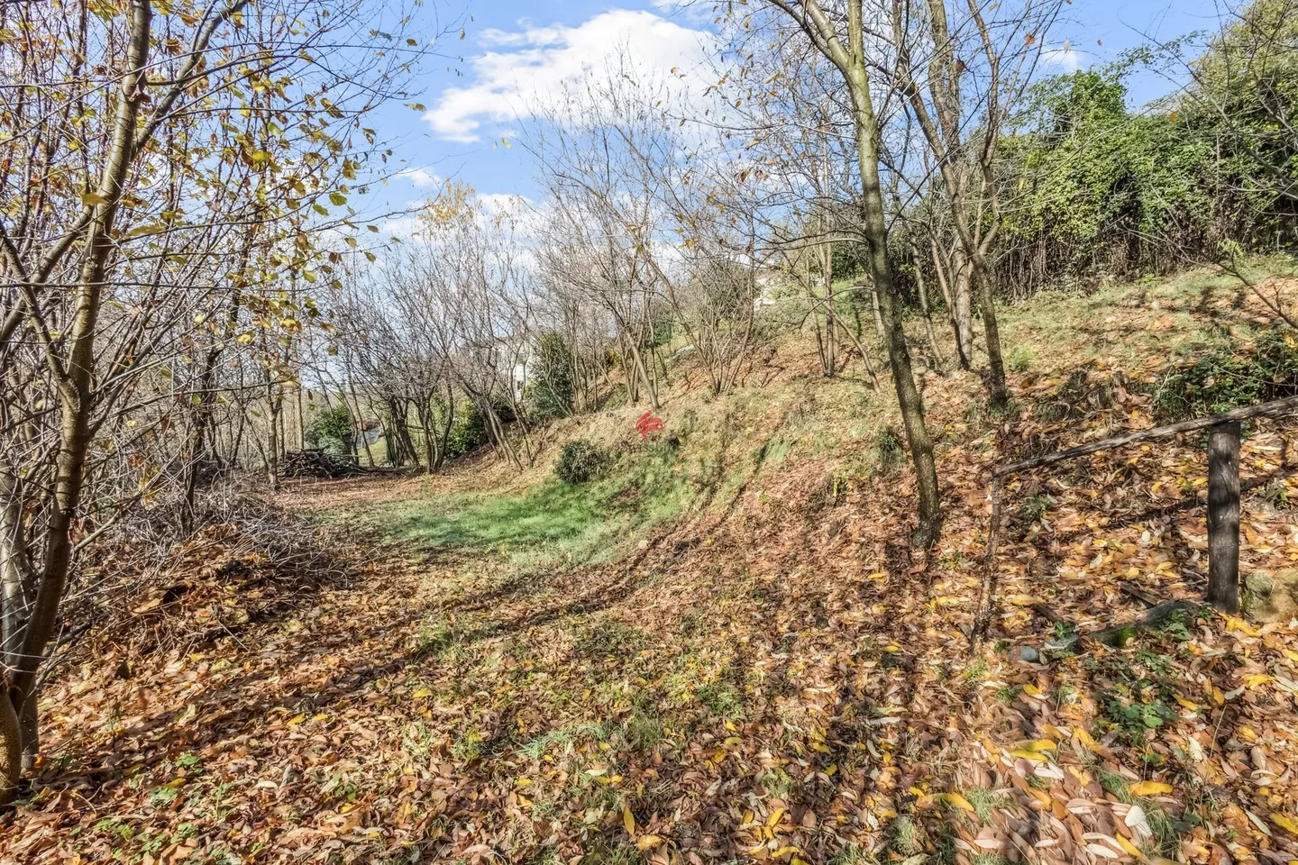 Building Land - Photo 4 of 12