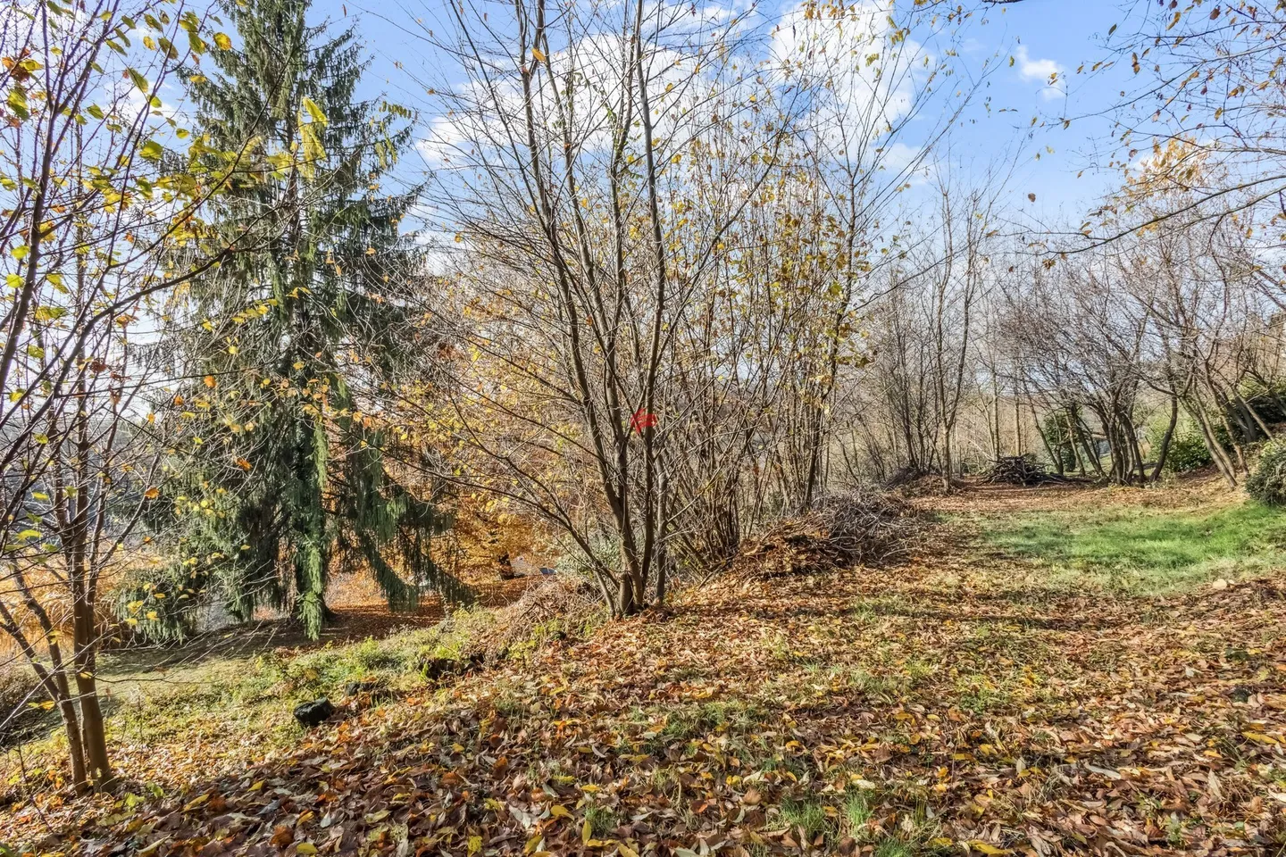 Building Land - Photo 5 of 12