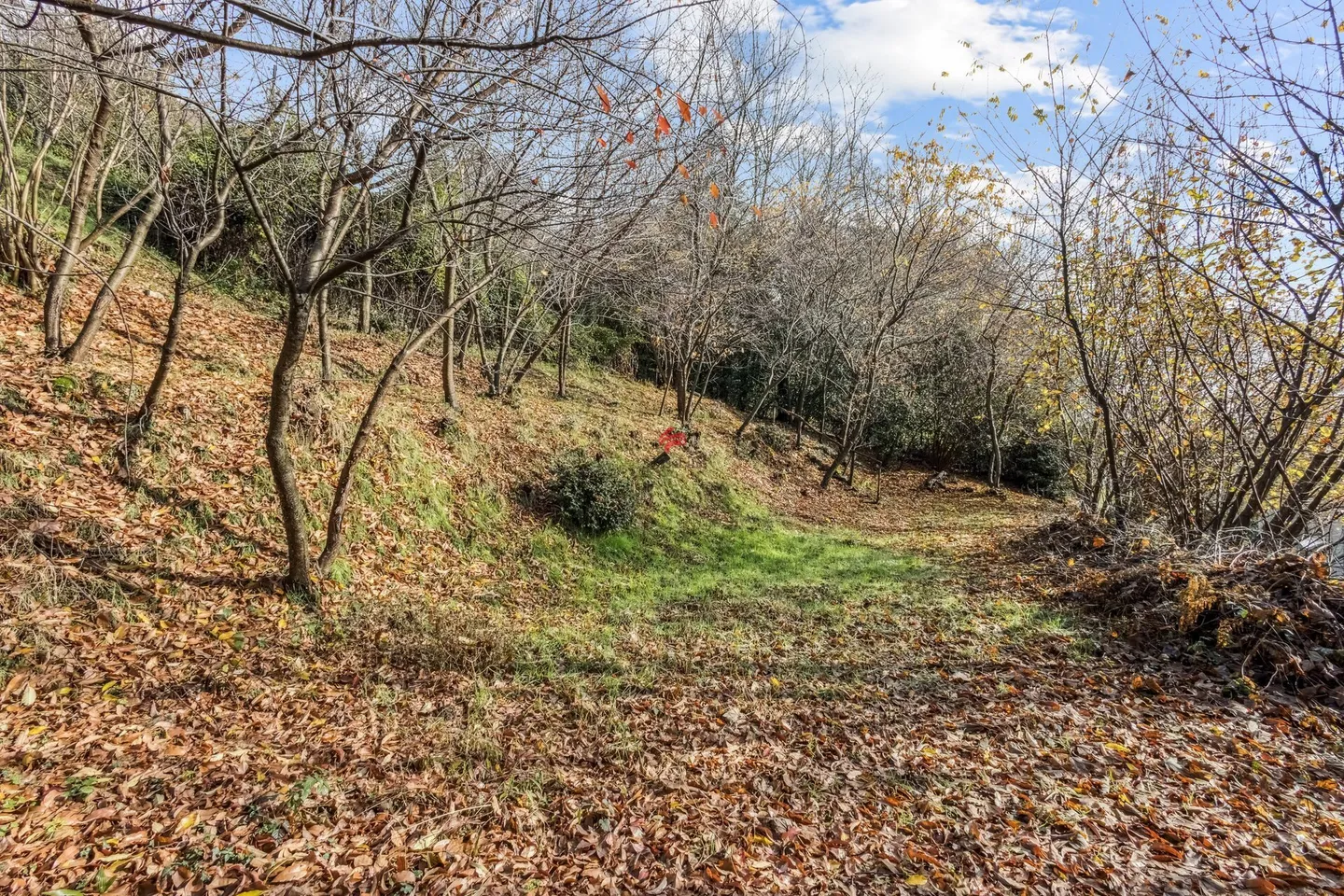 Building Land - Photo 6 of 12