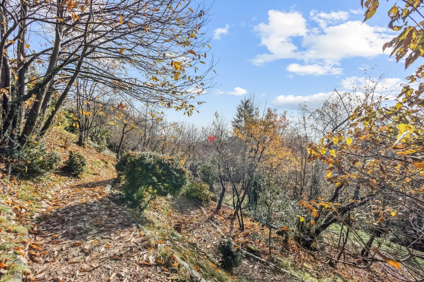 Building Land - Photo 2 of 12