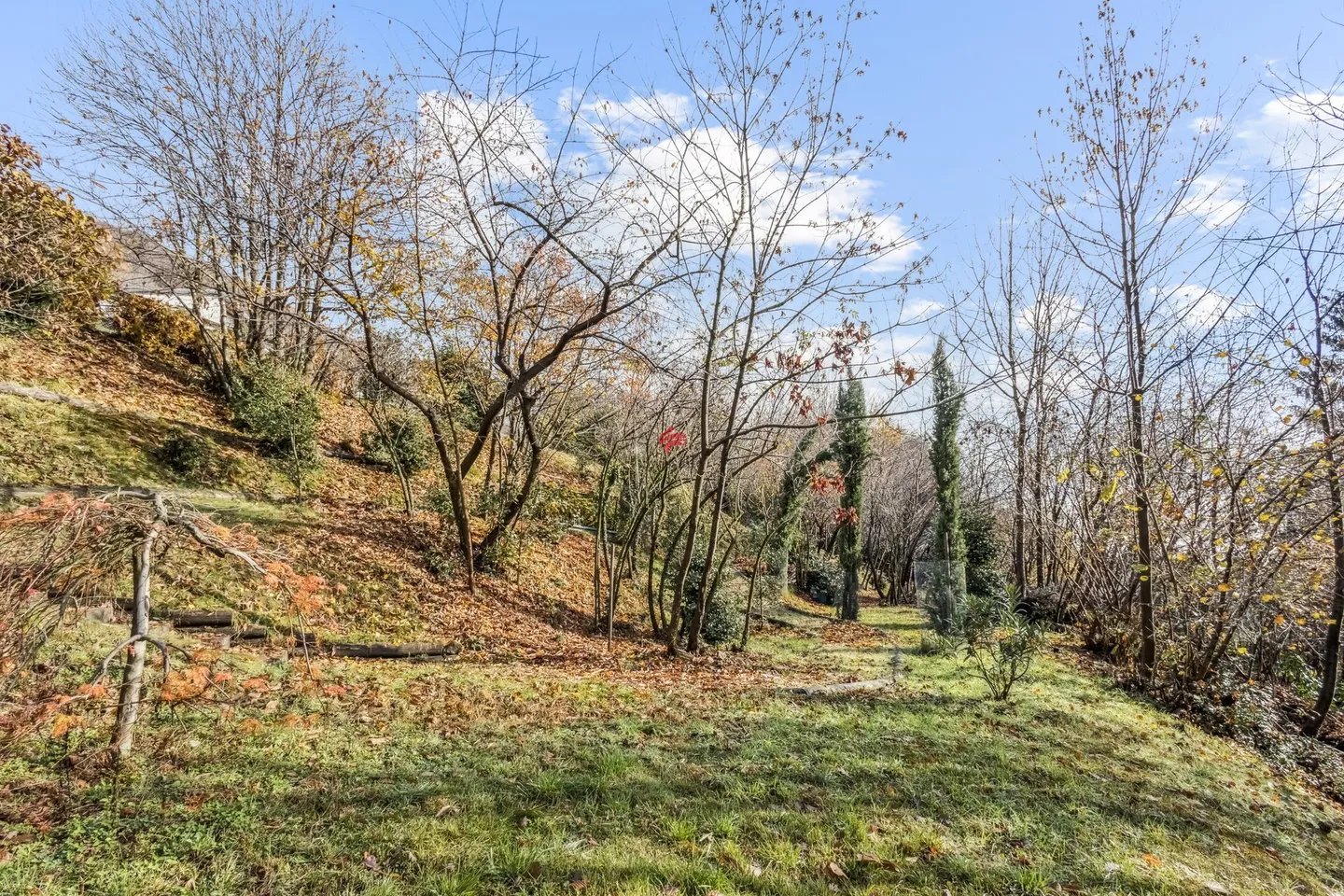 Building Land - Photo 7 of 12