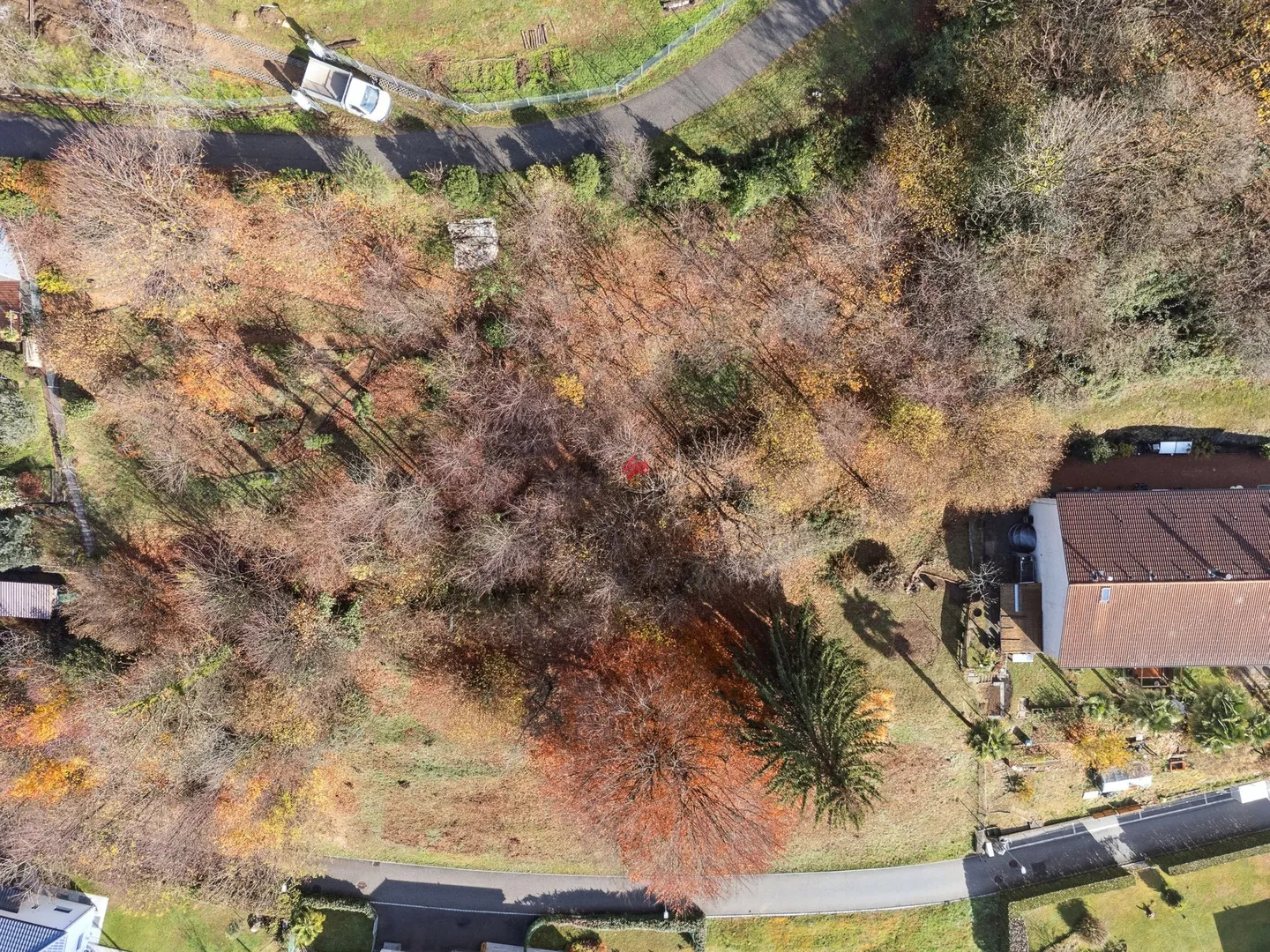 Building Land - Photo 10 of 12