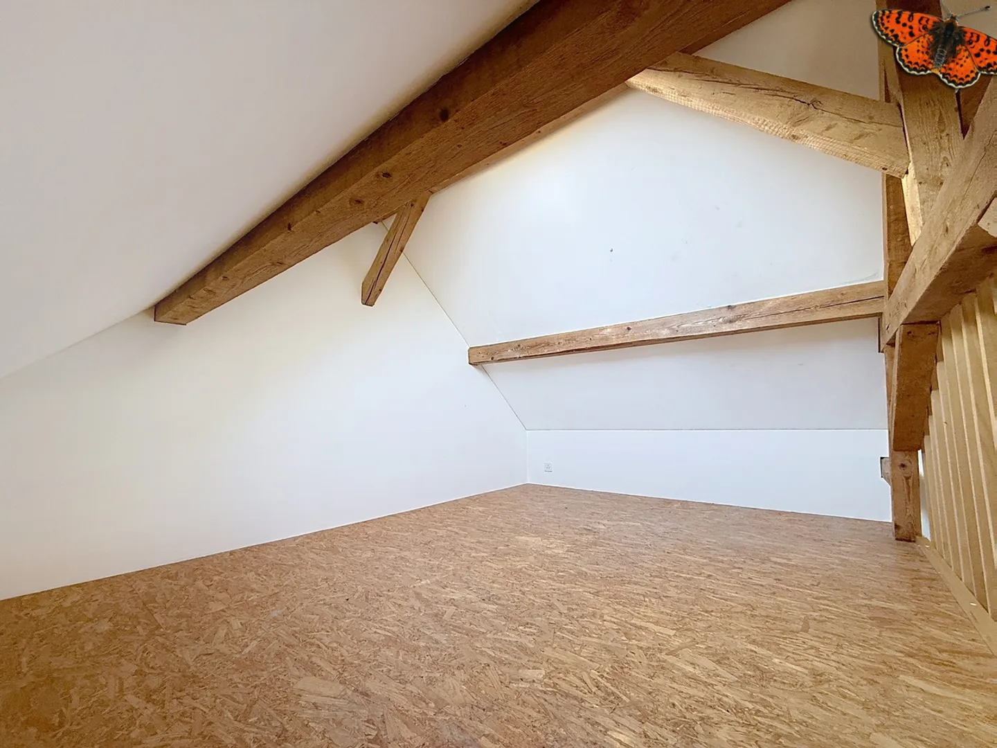 Atelier Artistique - Photo 8 sur 8