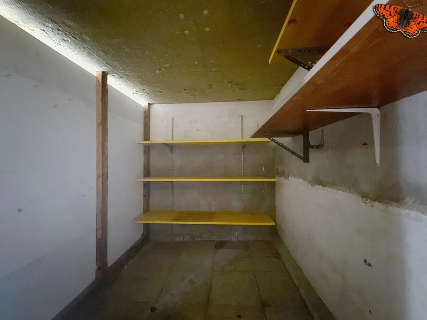 Spacious Storage Unit - Photo 6 of 6