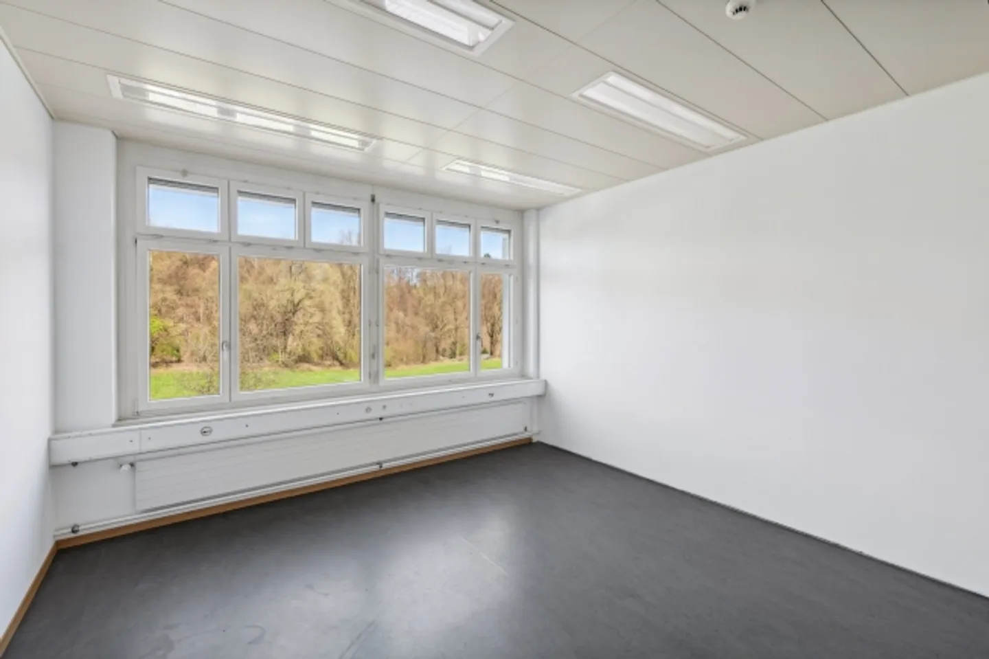 Bright office space (Open space) for rent - Photo 6 of 8