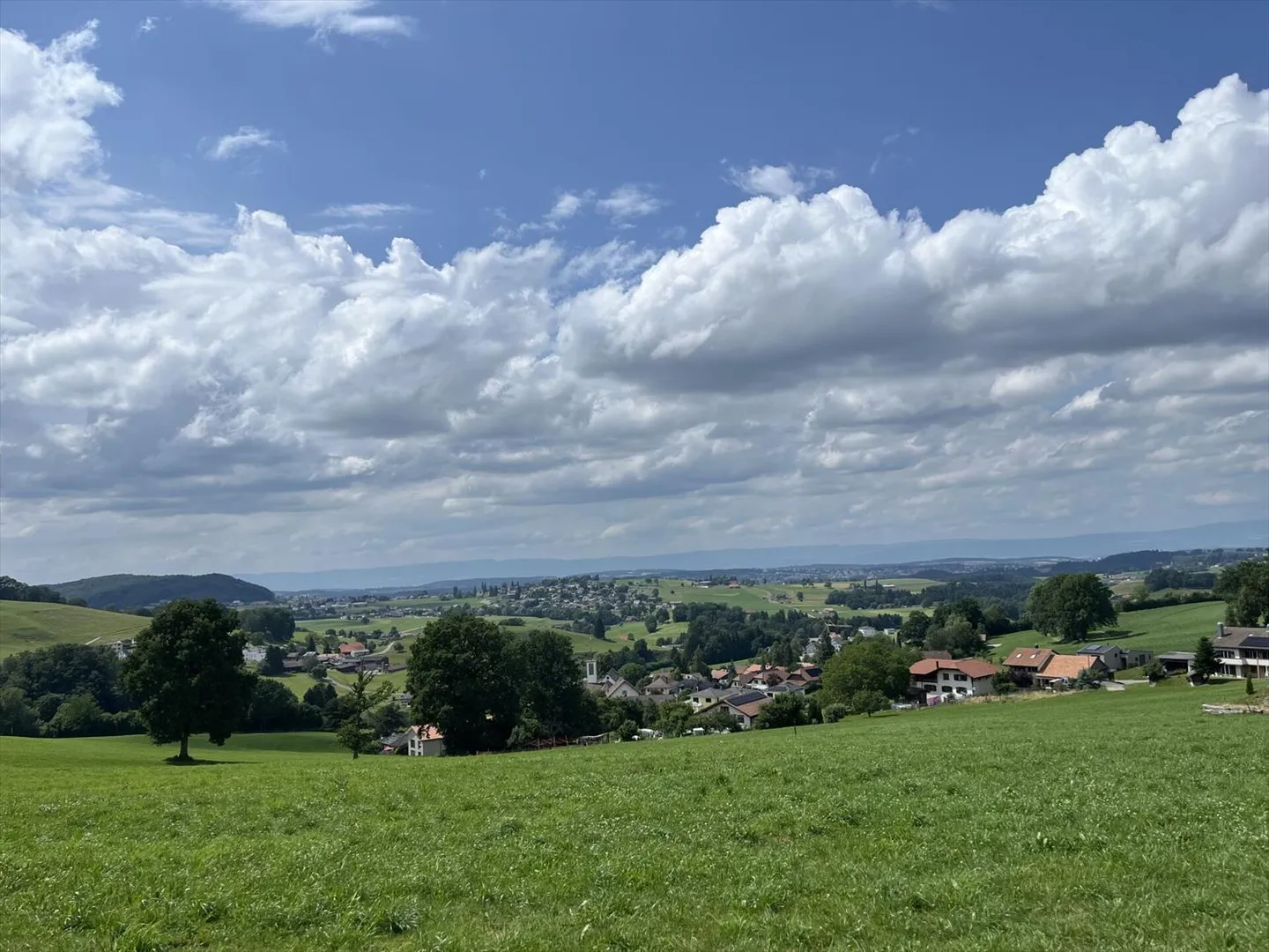 CON UNA VISTA PANORAMICA, SENZA AFFACCI, IN UNA ZONA TRANQUILLA - Foto 1 di 13
