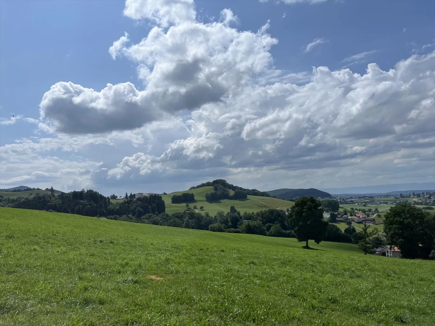 CON UNA VISTA PANORAMICA, SENZA AFFACCI, IN UNA ZONA TRANQUILLA - Foto 2 di 13