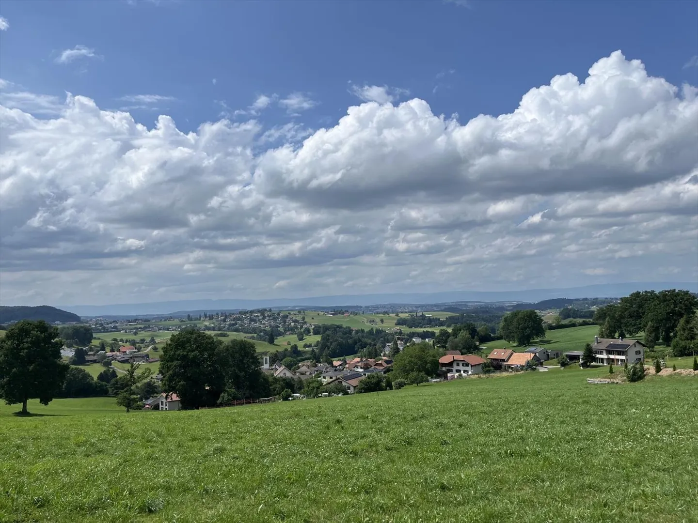 CON UNA VISTA PANORAMICA, SENZA AFFACCI, IN UNA ZONA TRANQUILLA - Foto 4 di 13