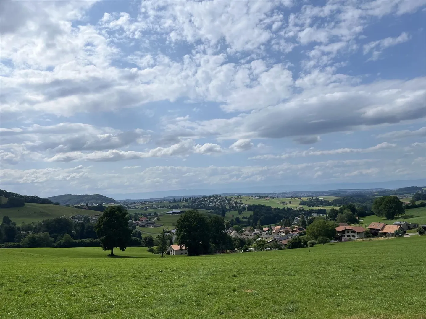 CON UNA VISTA PANORAMICA, SENZA AFFACCI, IN UNA ZONA TRANQUILLA - Foto 5 di 13