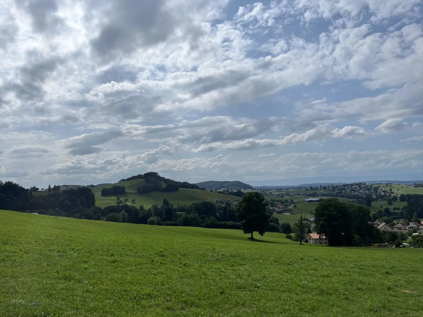 CON UNA VISTA PANORAMICA, SENZA AFFACCI, IN UNA ZONA TRANQUILLA - Foto 7 di 13