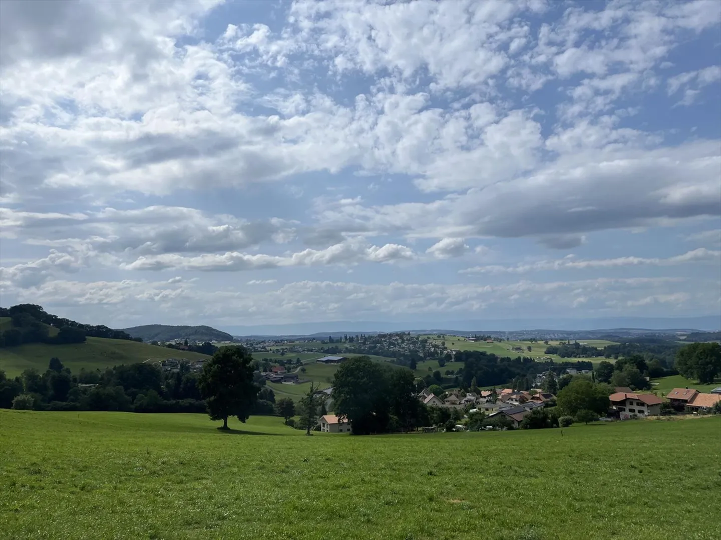 CON UNA VISTA PANORAMICA, SENZA AFFACCI, IN UNA ZONA TRANQUILLA - Foto 8 di 13