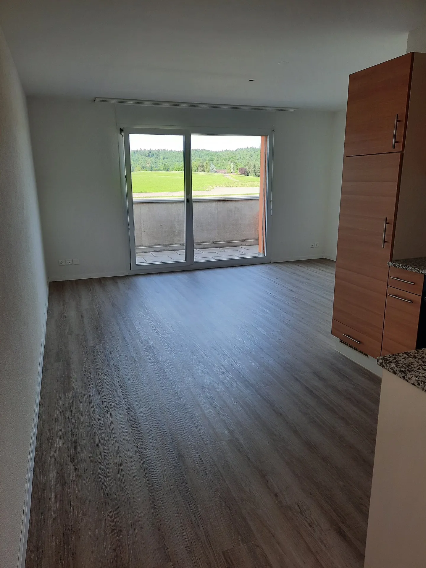 Modern Loft Apartment with Balcony in Fehraltorf - Photo 5 of 9