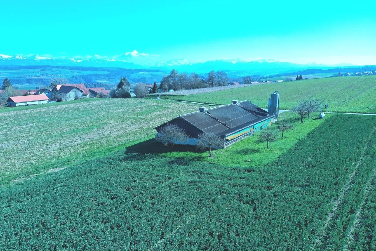 Exploitation agricole avec hall à poules - Photo 19 sur 31