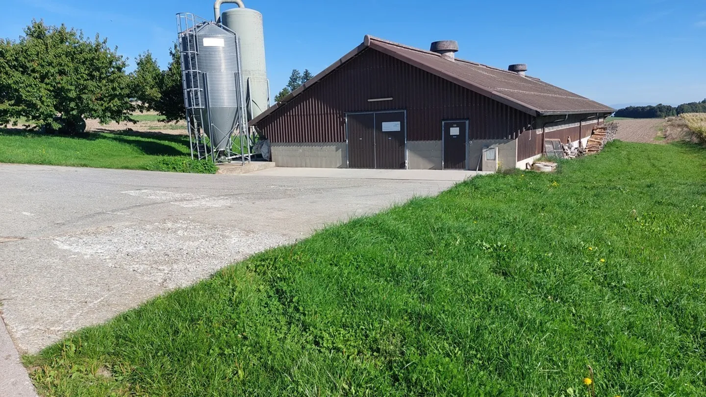 Exploitation agricole avec hall à poules - Photo 20 sur 31