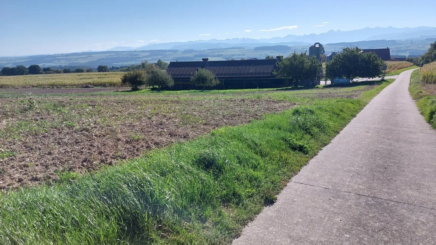 Exploitation agricole avec hall à poules - Photo 23 sur 31