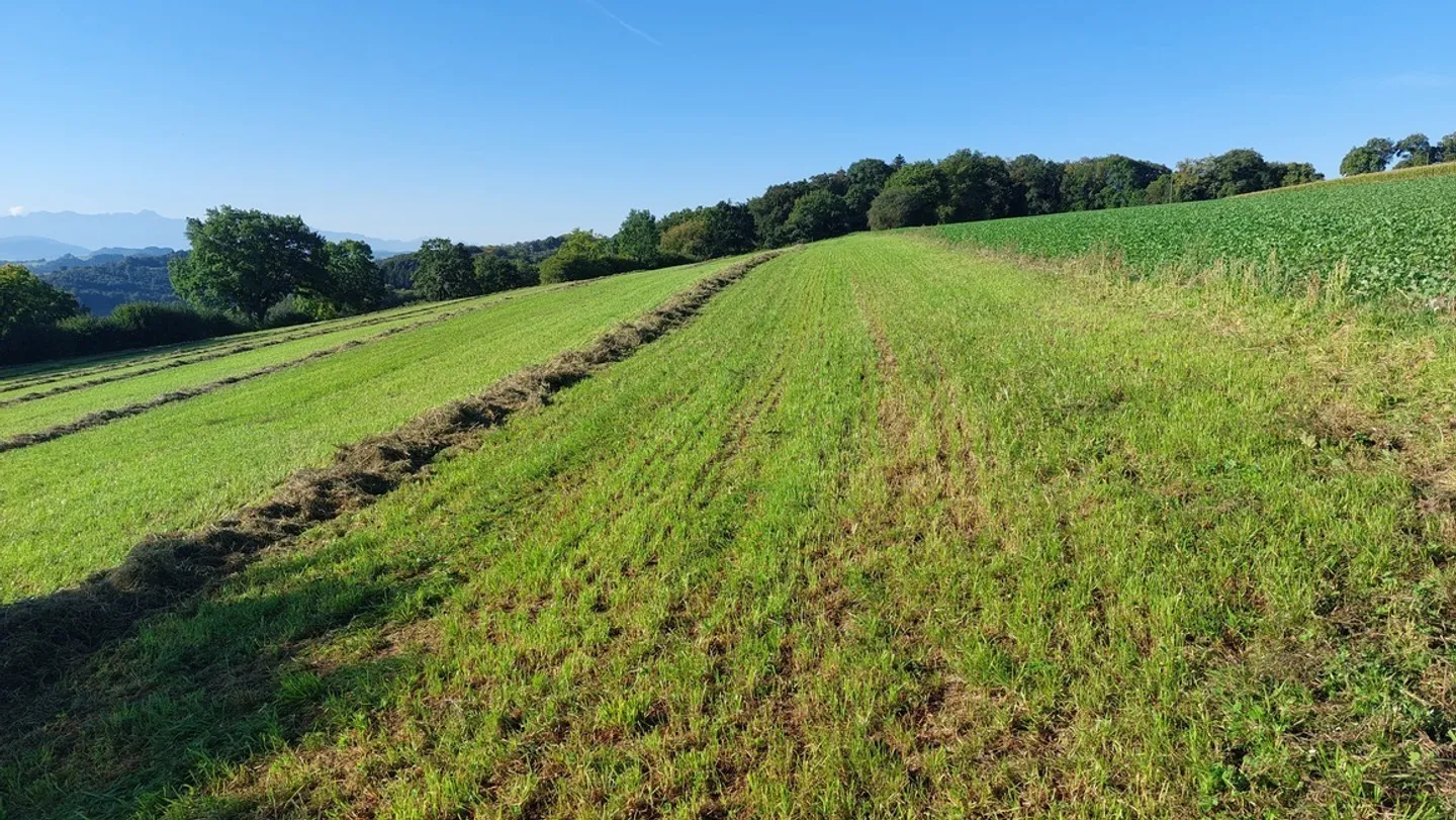 Exploitation agricole avec hall à poules - Photo 27 sur 31