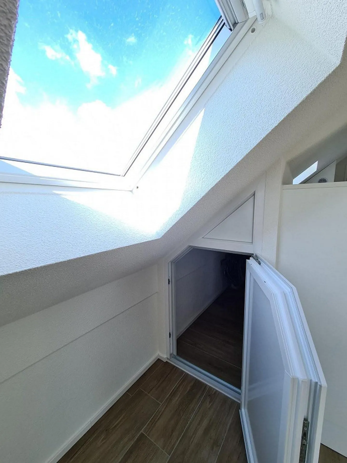Small but fine! - Photo 6 of 6