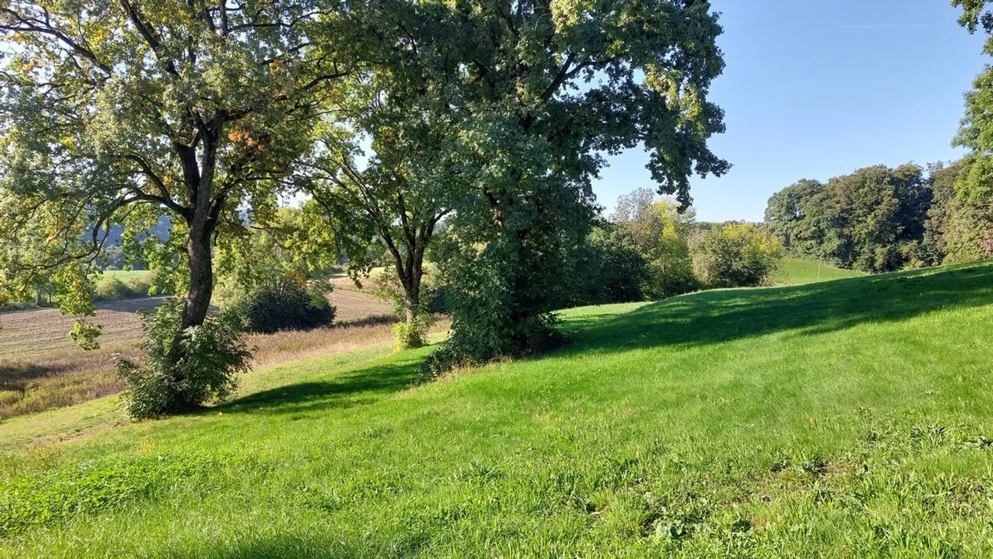 Exploitation agricole avec hall à poules - Photo 28 sur 31