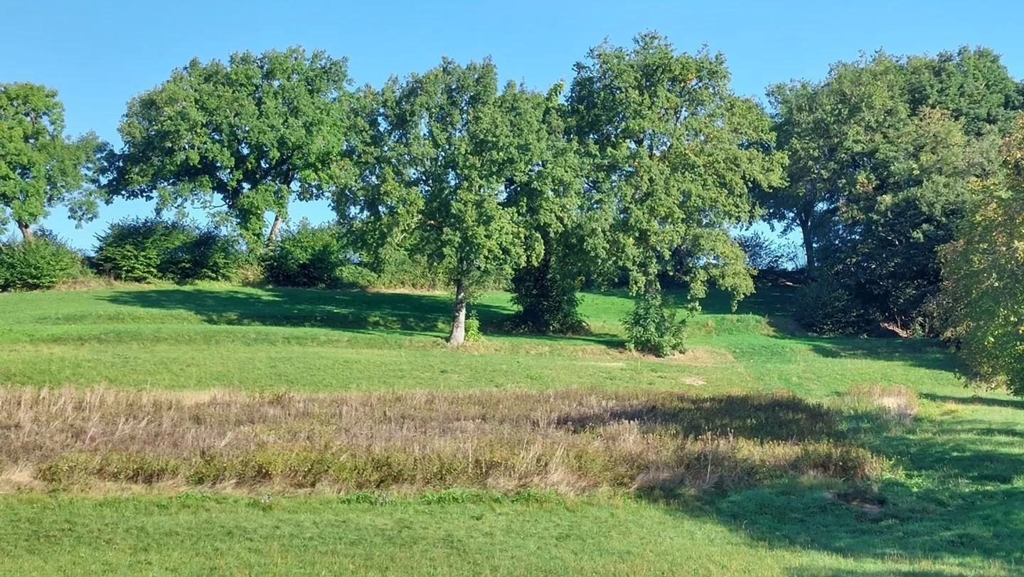 Exploitation agricole avec hall à poules - Photo 29 sur 31
