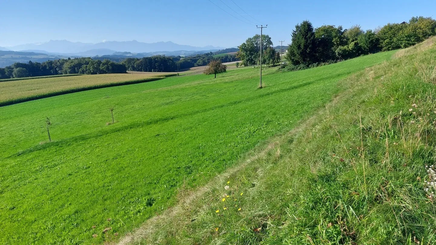 Exploitation agricole avec hall à poules - Photo 31 sur 31