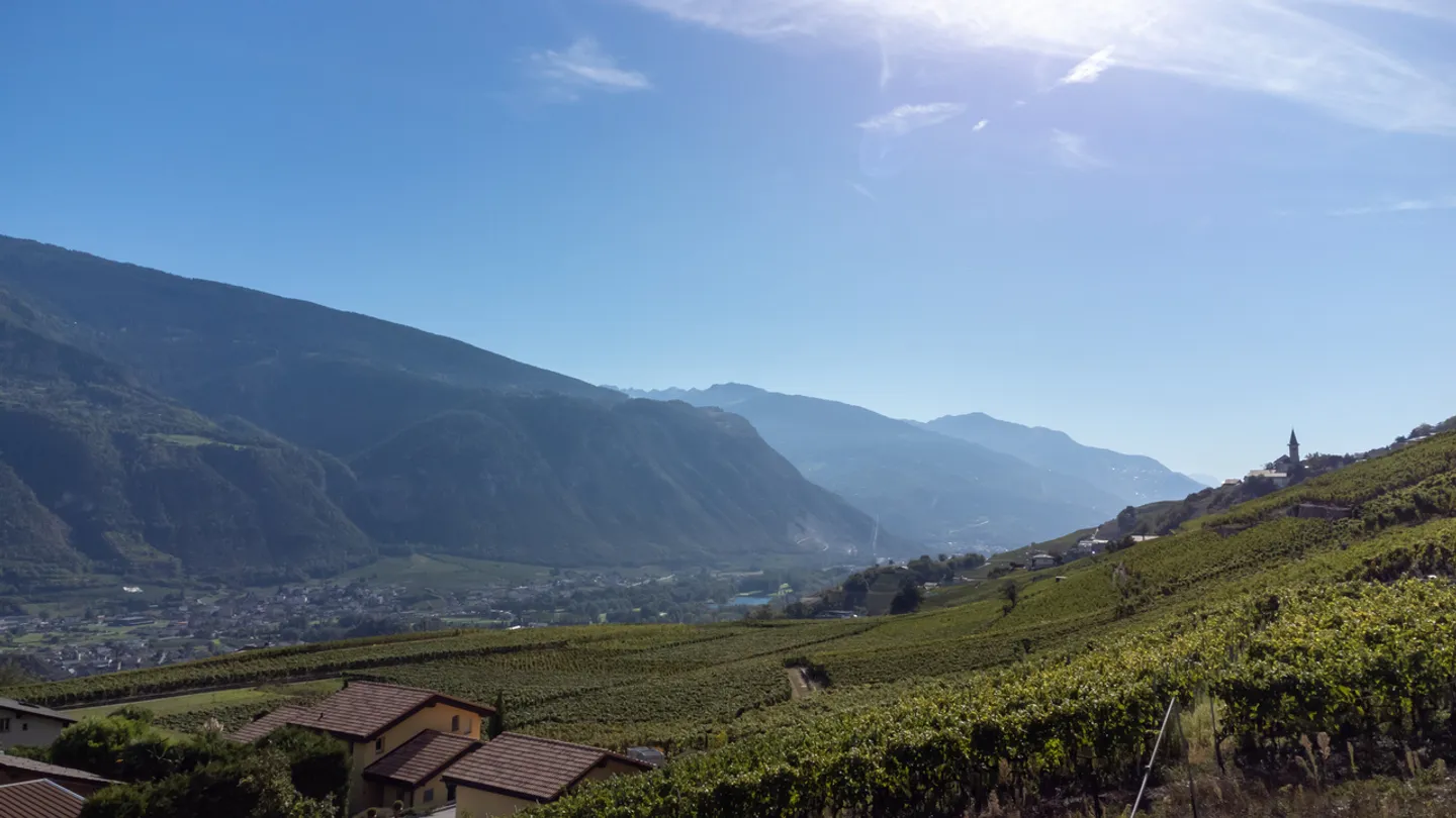 À vendre : Magnifique villa de 5,5 pièces à Lens - Photo 3 sur 4