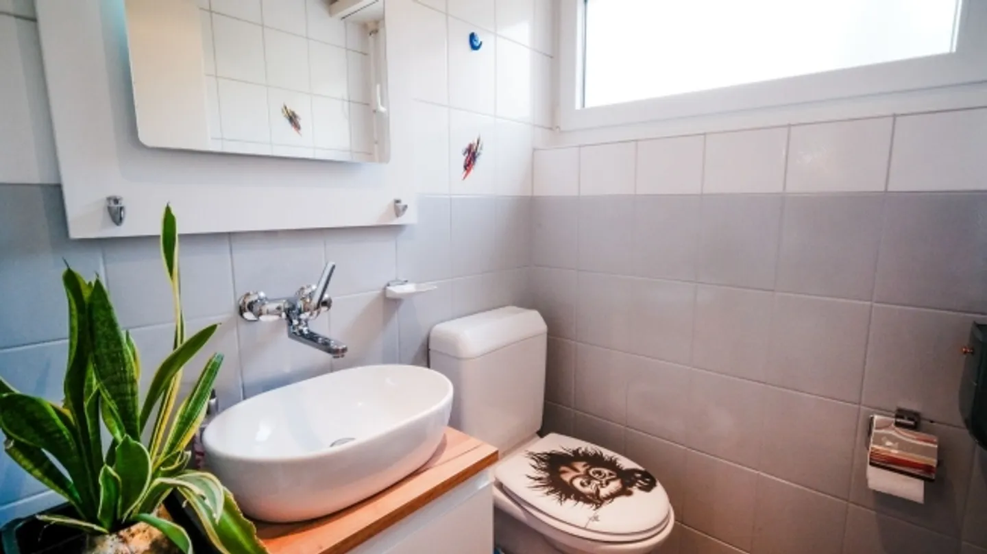 Maison individuelle - Oasis de jardin à Reinach - Photo 12 sur 13