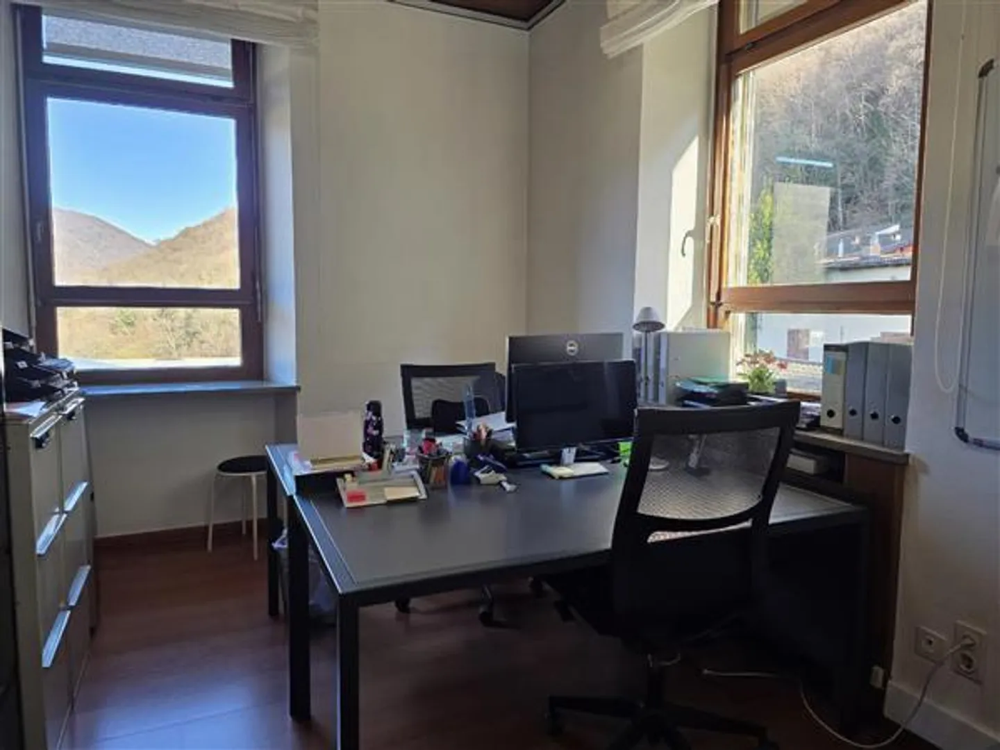 Mendrisio: Office 4.5 Rooms - Photo 5 of 12