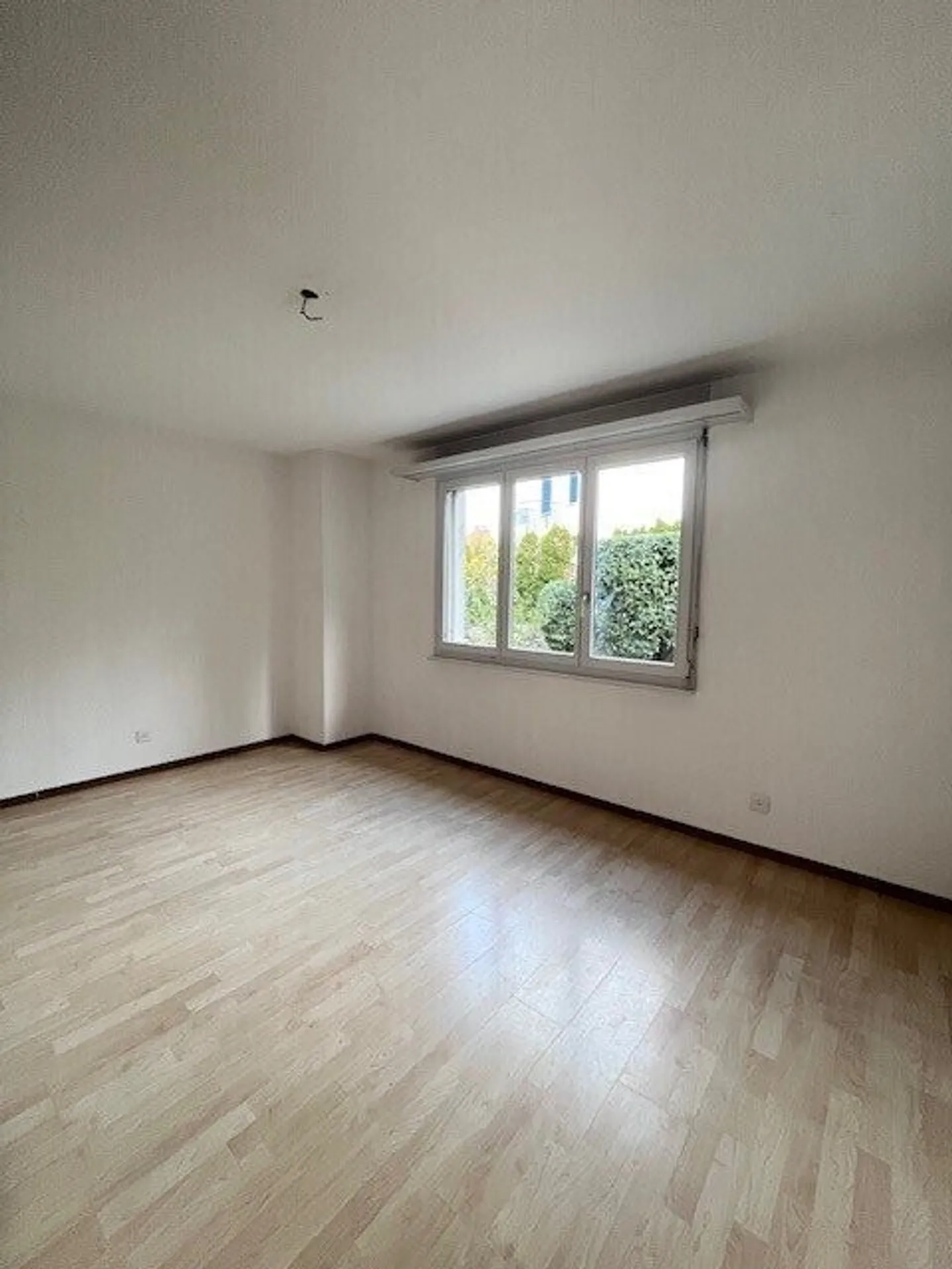 Charming Apartment - Photo 5 of 8