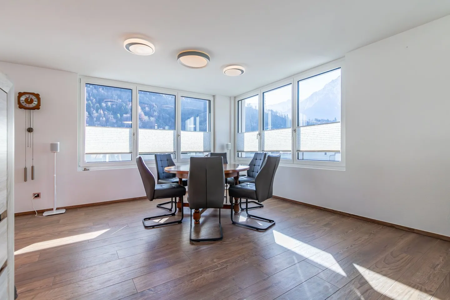 5.5 Room Penthouse Apartment - Photo 4 of 20