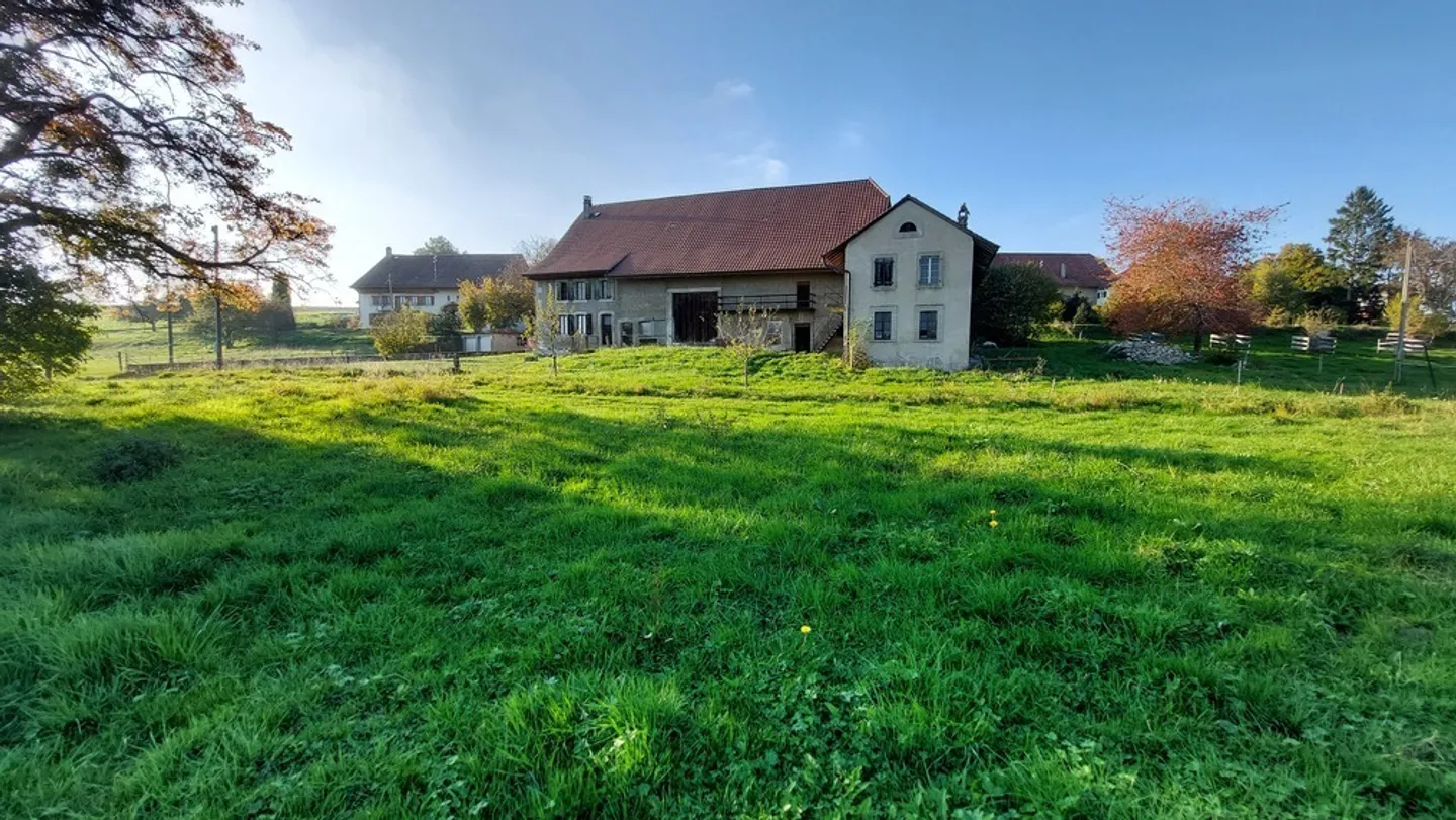 Exploitation agricole avec hall à poules - Photo 7 sur 31