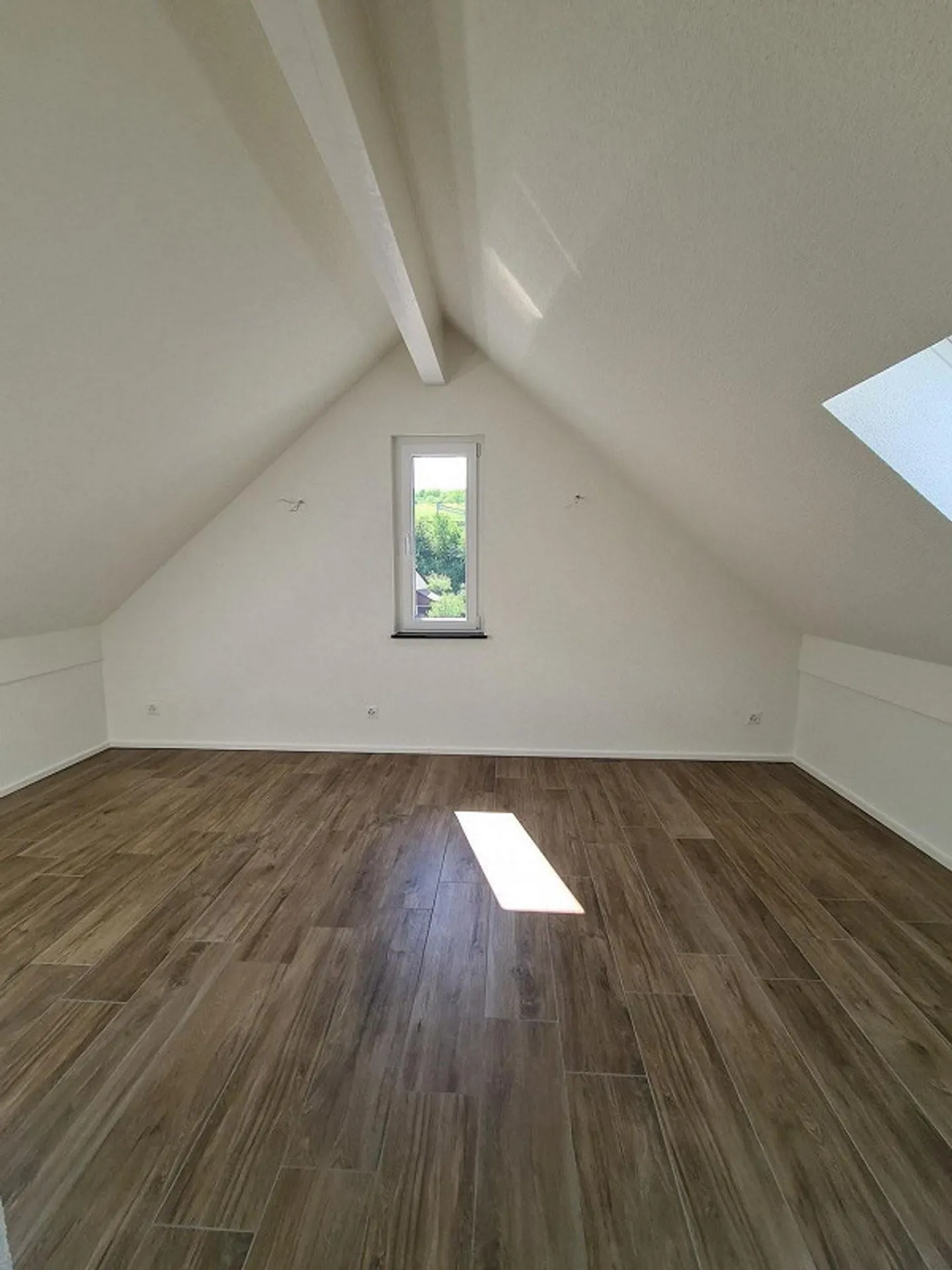 Small but fine! - Photo 3 of 6