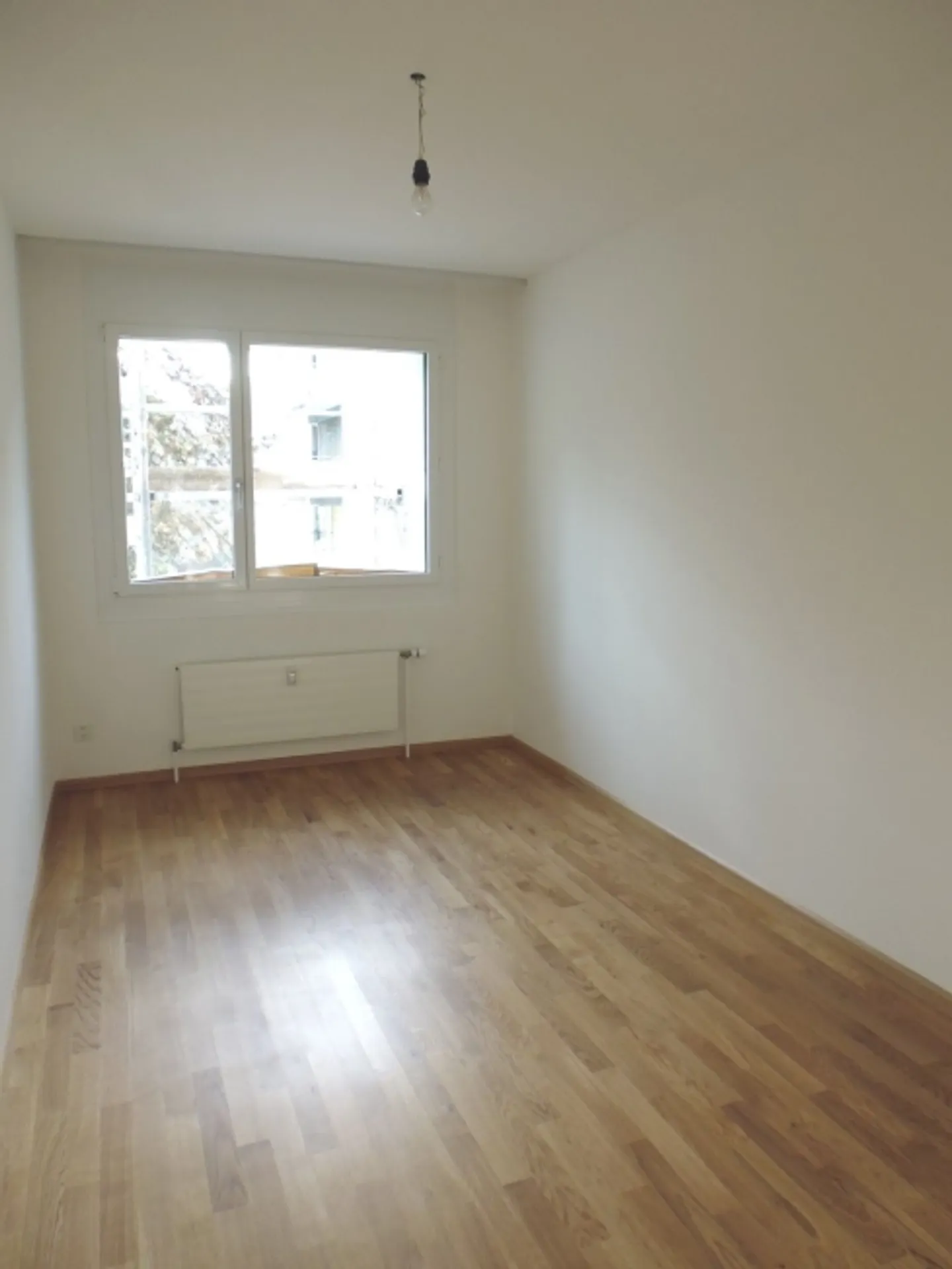 Attenzione, pronto, Gundeli! - Foto 10 di 12