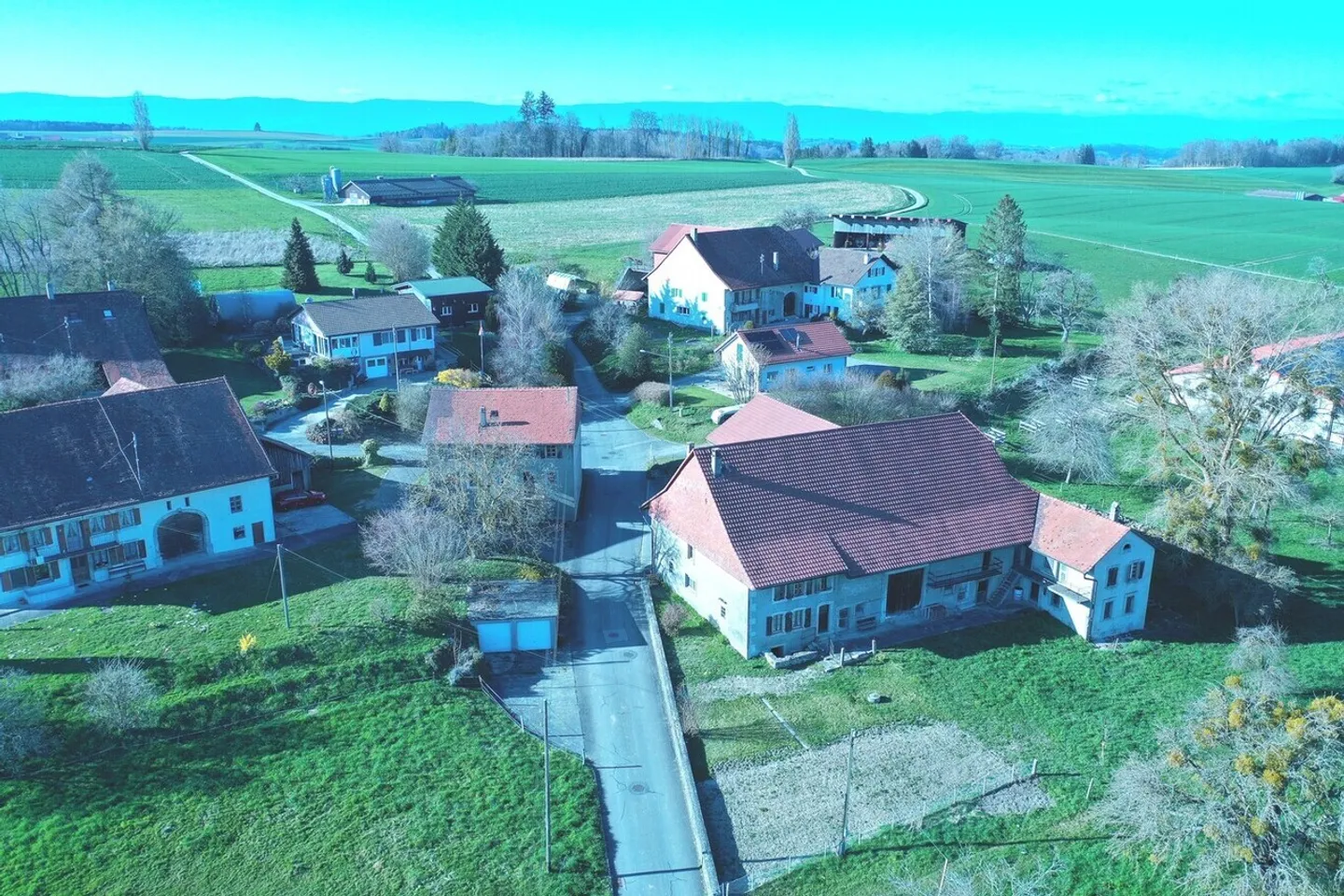 Exploitation agricole avec hall à poules - Photo 13 sur 31