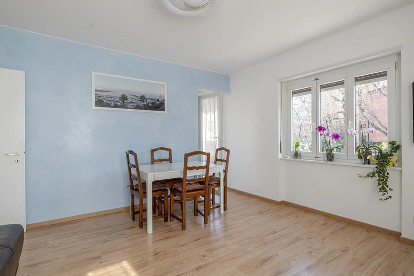 IDEAL 4.5 ROOMS IN MASSAGNO - Photo 2 of 19
