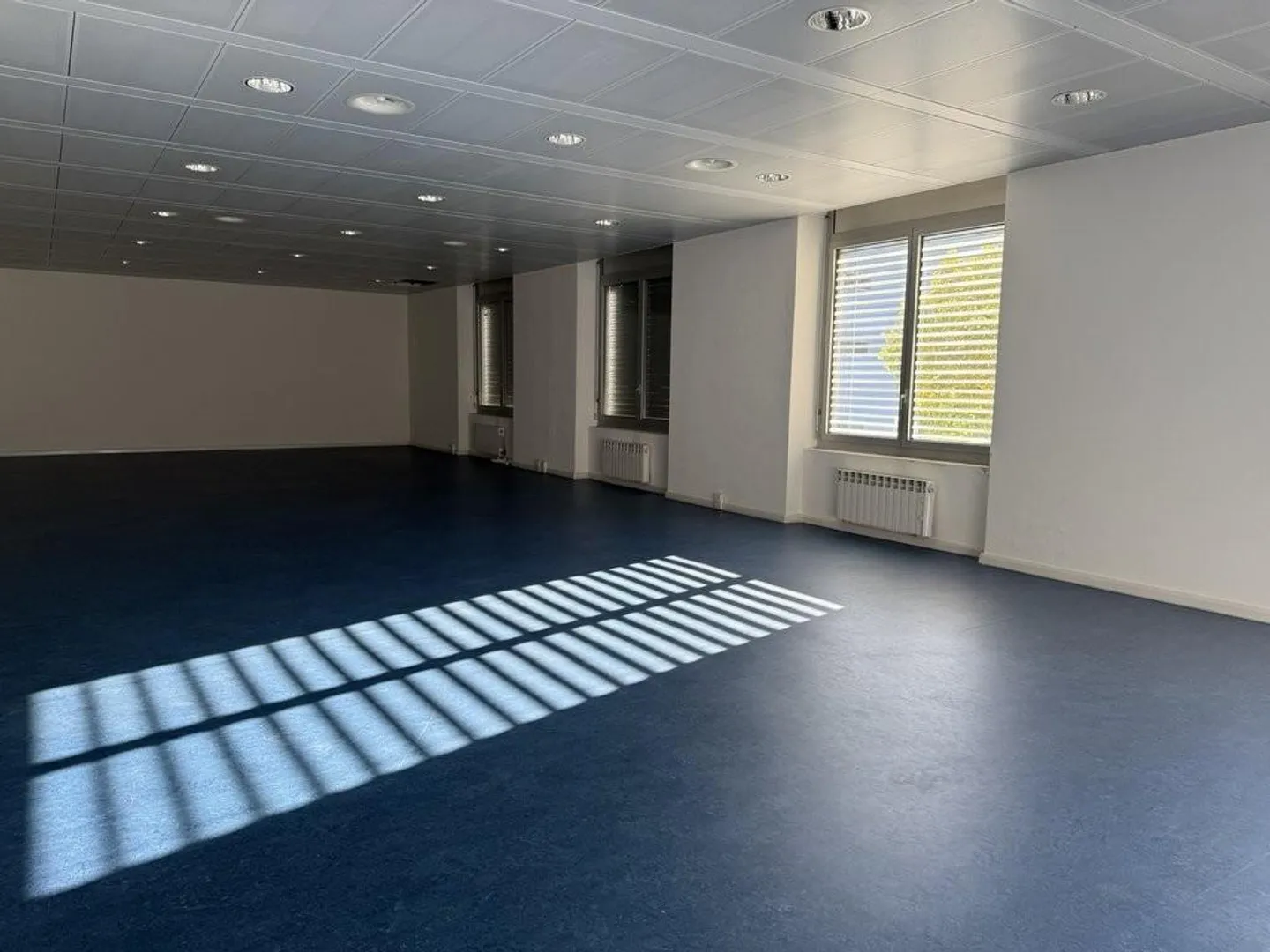 Proprietà in affitto per spazi commerciali / magazzino a Giubiasco - Foto 2 di 2