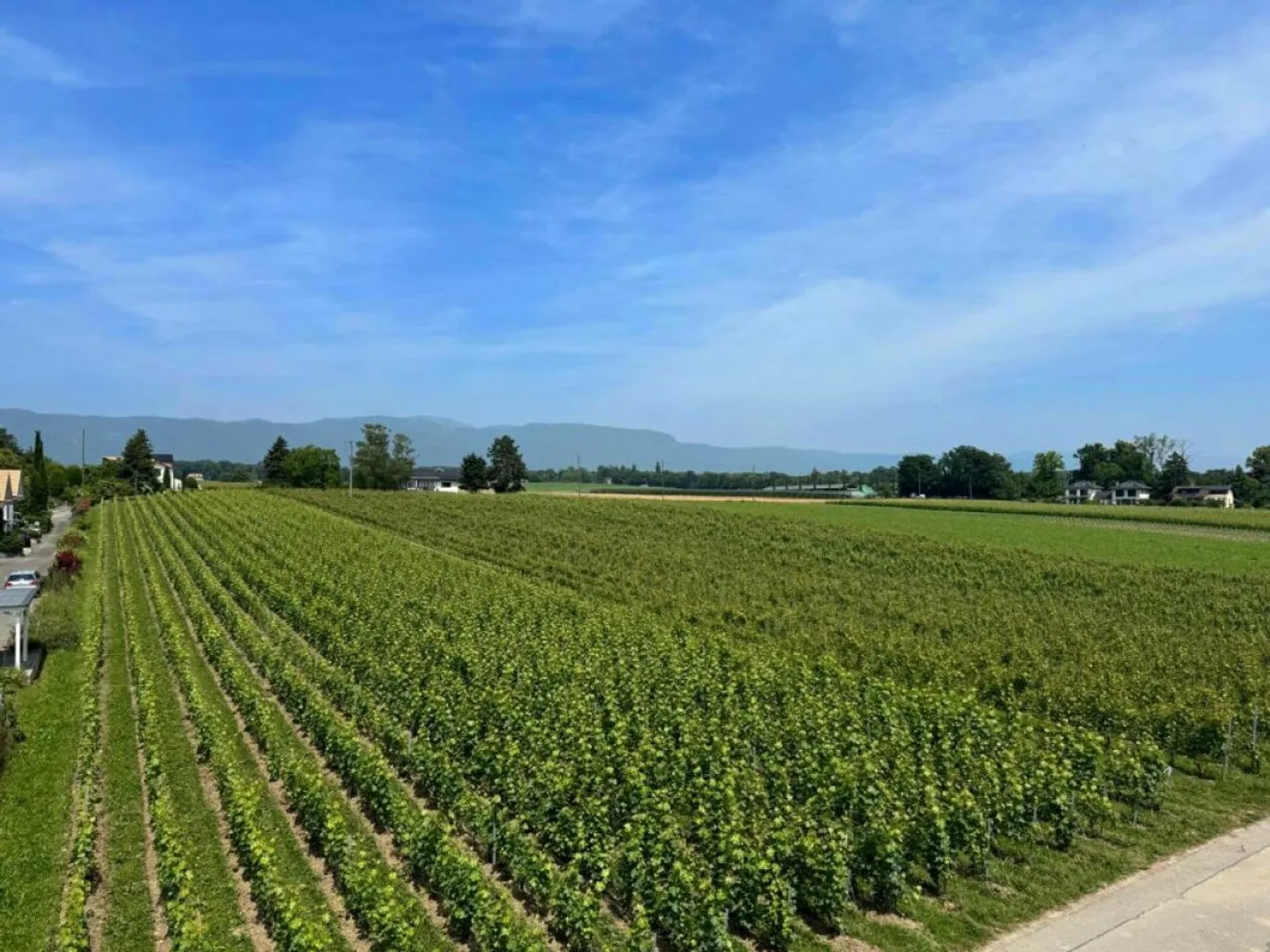 Schönes Reihenhaus mit großem privatem Garten in Coppet - Foto 6 von 8